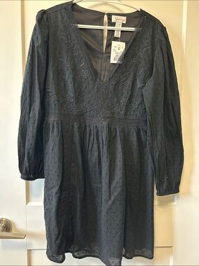Japna Black Embroidered Mini Dress